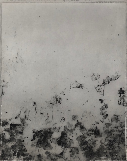 Untitled, Weed series (5)